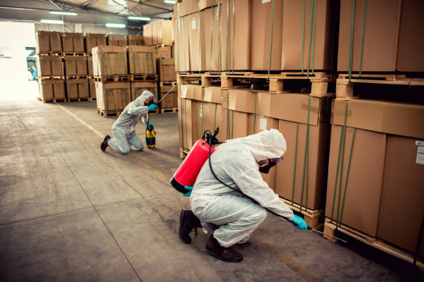 Best Ant Control Services  in Covelo, CA