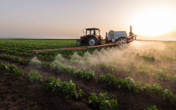 Professional Pest Control in Covelo, CA