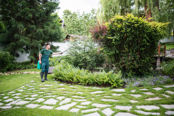 Wasp Removal Services in Covelo, CA