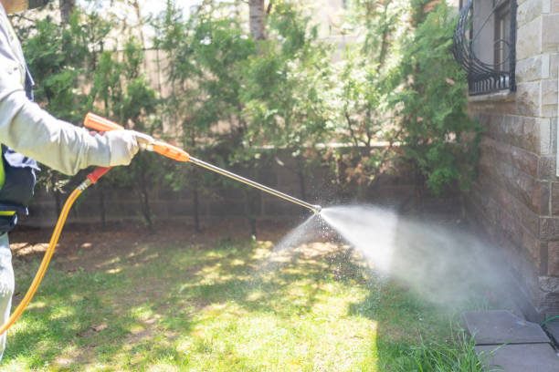 Best Rat Extermination Near Me  in Covelo, CA
