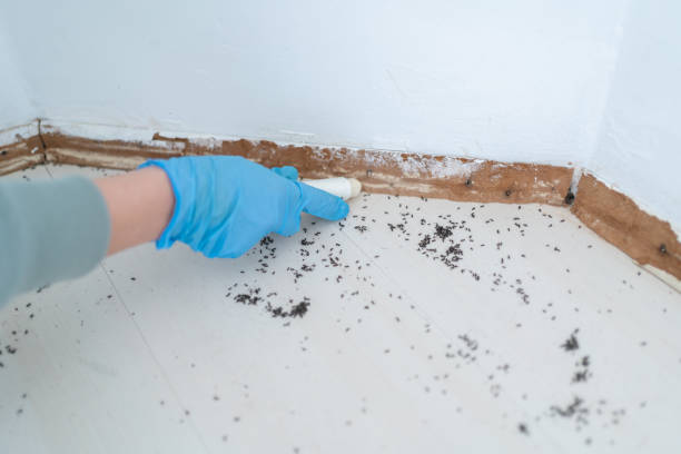 Best Pest Prevention Services  in Covelo, CA